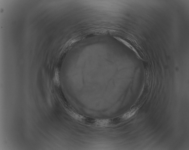 X0000062650143200601111201