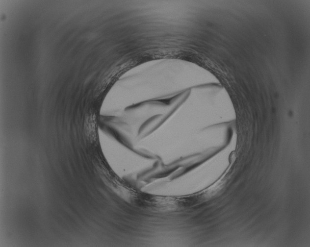 X0000062650144200601111201