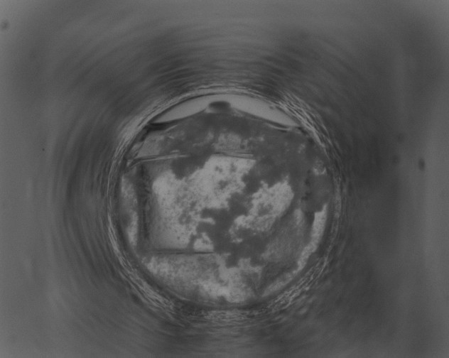 X0000062650145200601111200