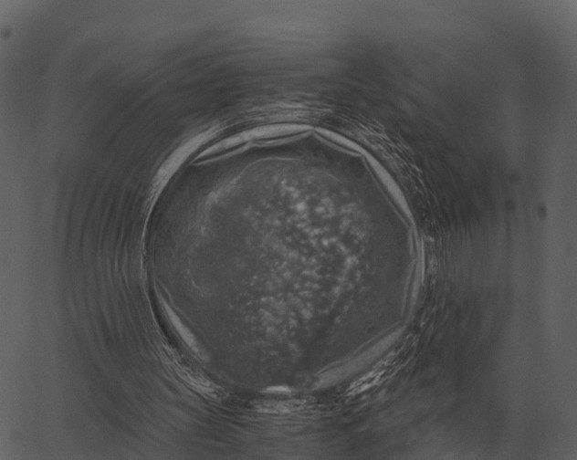 X0000062650147200601111200