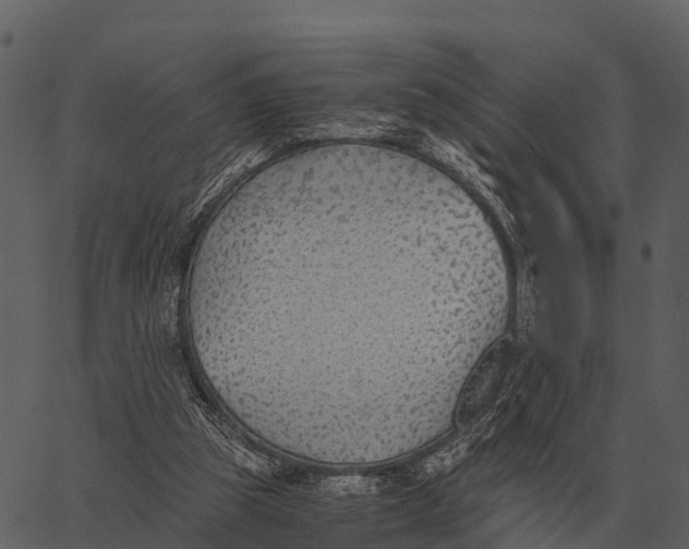 X0000062650153200601111200