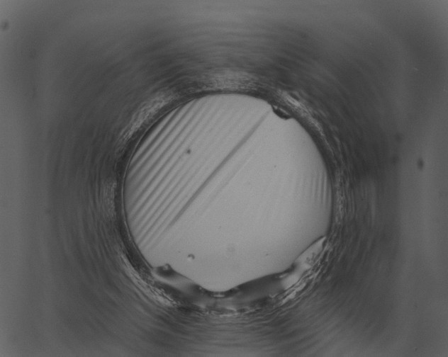 X0000062650154200601111200