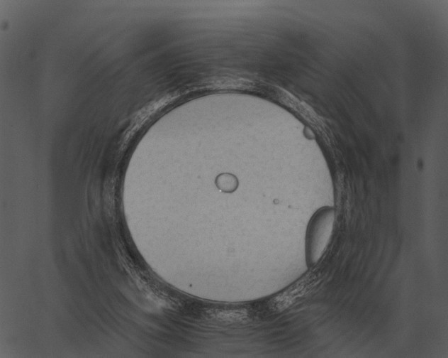 X0000062650155200601111200