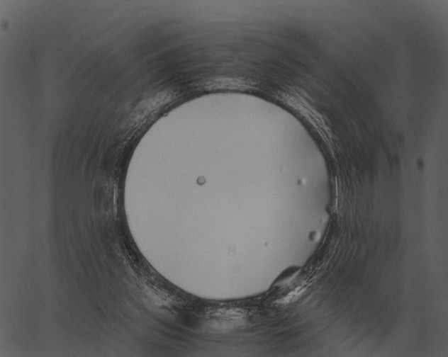 X0000062650157200601111200