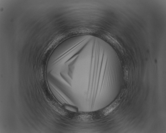 X0000062650158200601111200