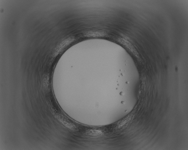 X0000062650159200601111200