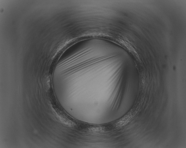 X0000062650160200601111200