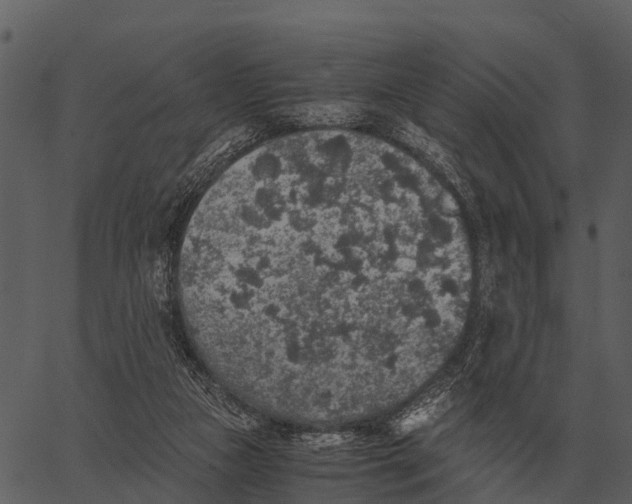 X0000062650161200601111200