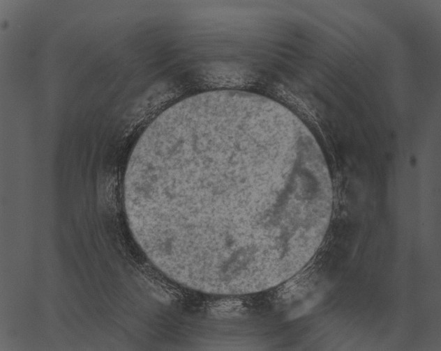 X0000062650162200601111200