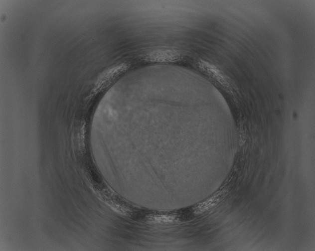 X0000062650163200601111201