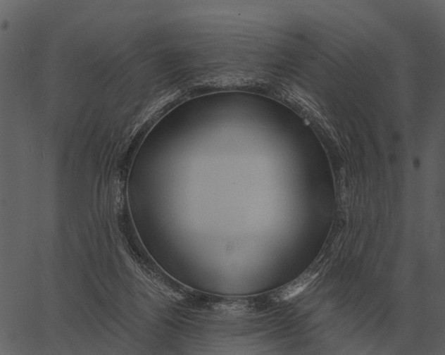 X0000062650164200601111201