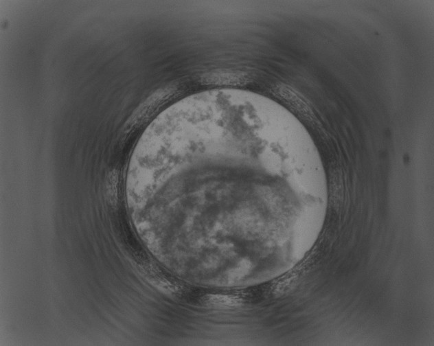 X0000062650167200601111201