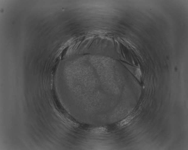 X0000062650168200601111201