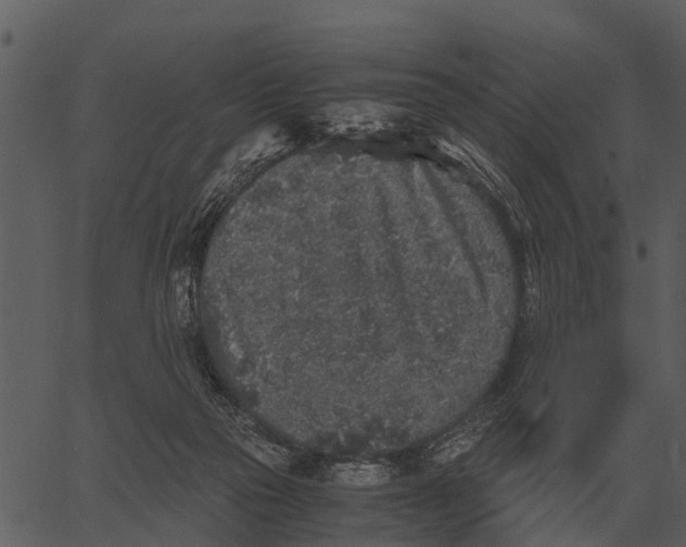 X0000062650169200601111201