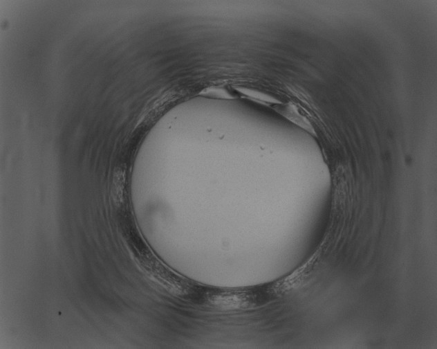 X0000062650171200601111201