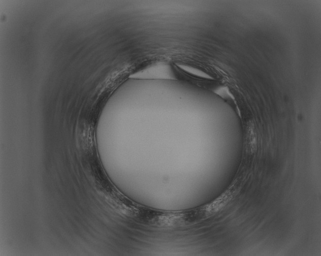 X0000062650172200601111201