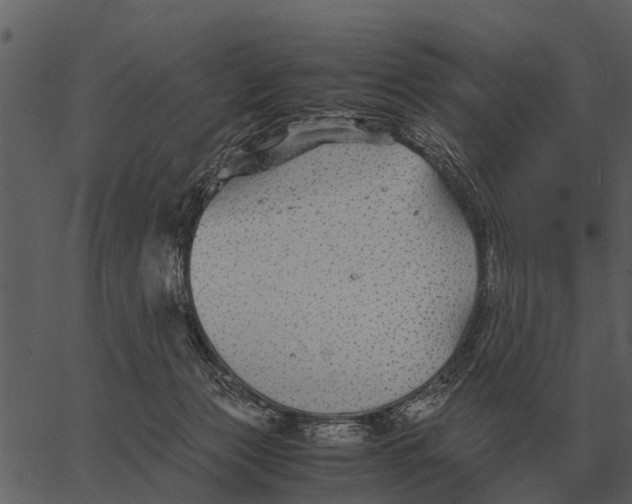 X0000062650173200601111201