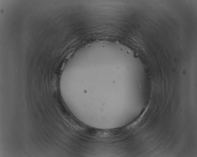 X0000062650174200601111201