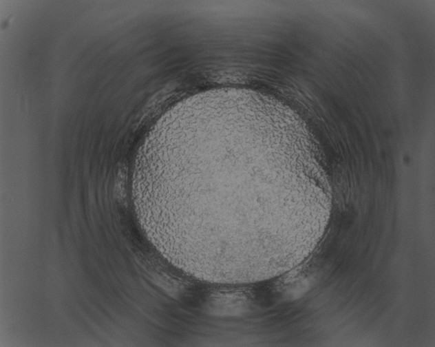 X0000062650175200601111201