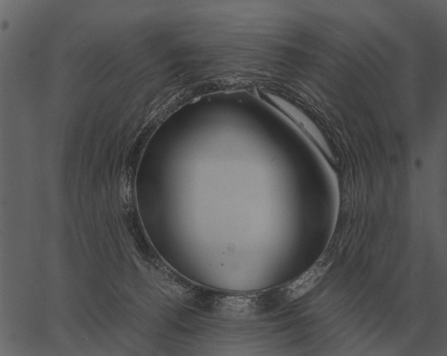 X0000062650176200601111201