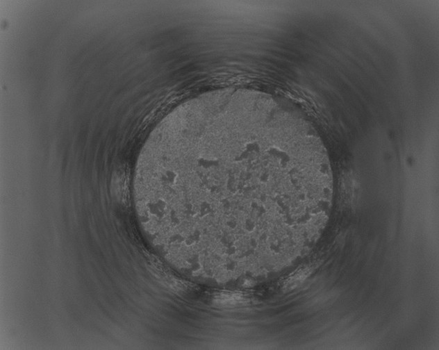 X0000062650177200601111201