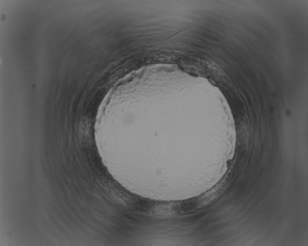 X0000062650178200601111201