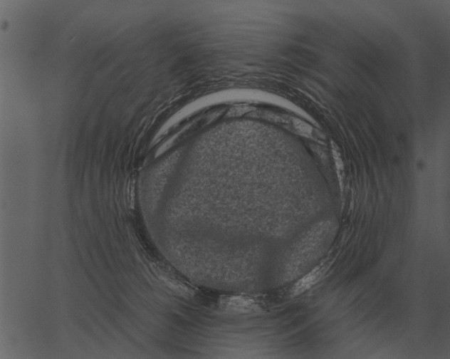 X0000062650180200601111201