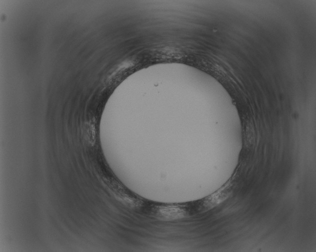 X0000062650183200601111201