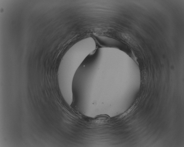 X0000062650184200601111201