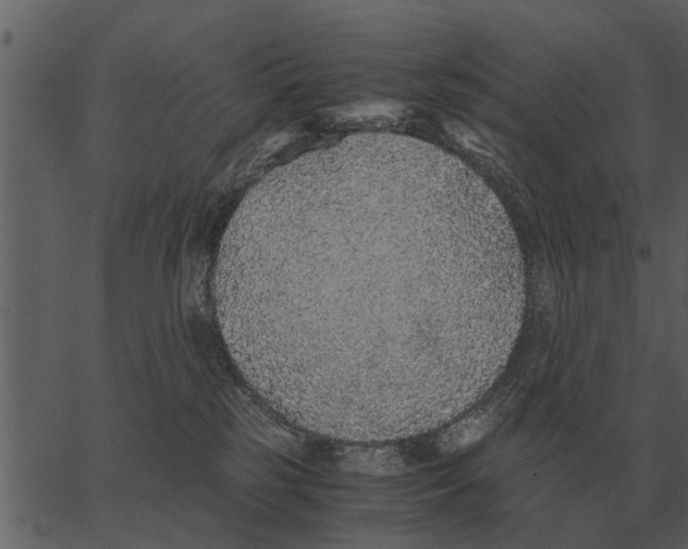 X0000062650185200601111201