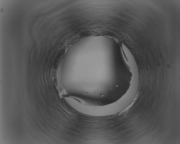 X0000062650186200601111201