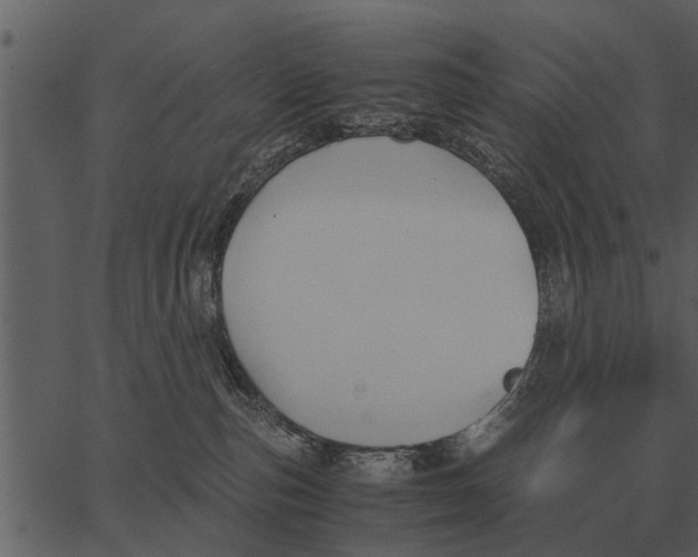 X0000062650187200601111201