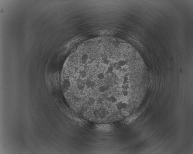 X0000062650189200601111201