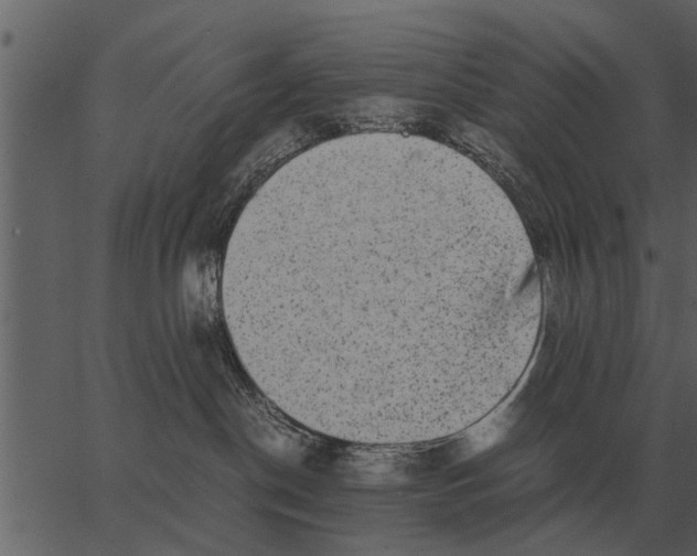 X0000062650190200601111201