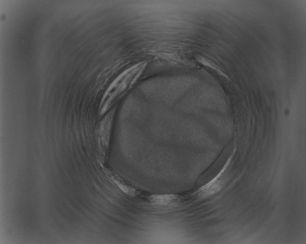 X0000062650192200601111201