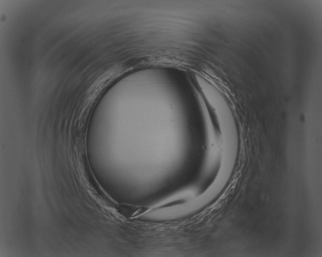 X0000062650193200601111200