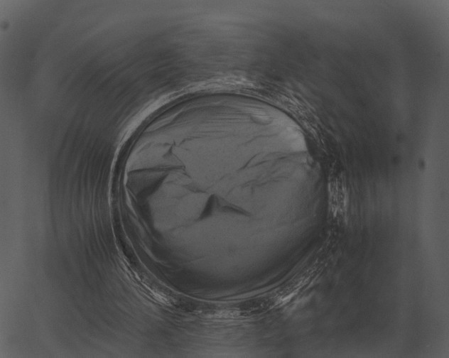 X0000062650196200601111200