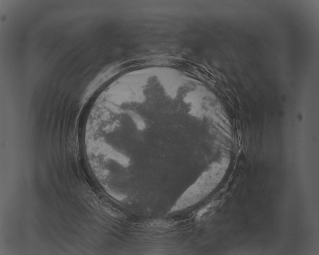 X0000062650198200601111200