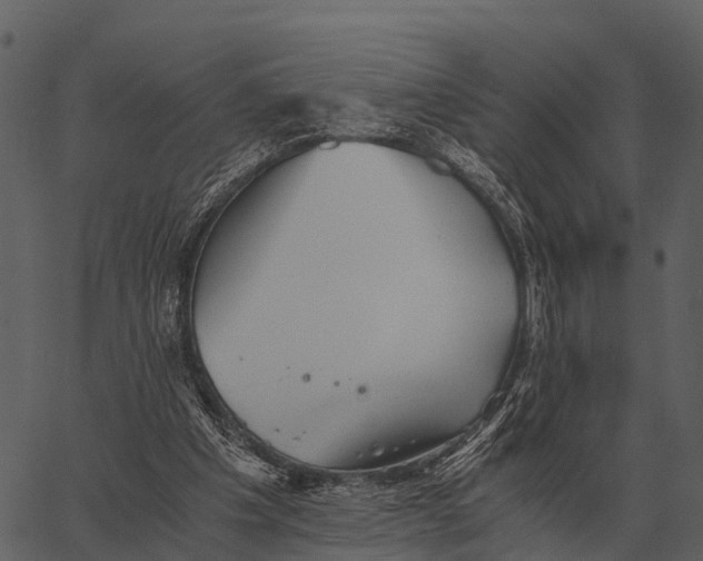 X0000062650201200601111200