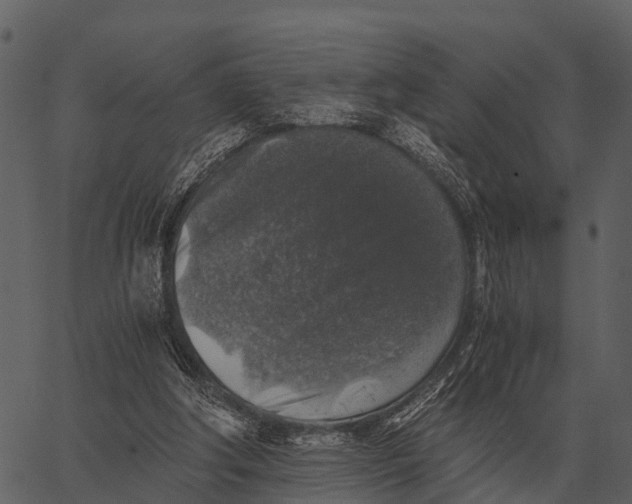 X0000062650202200601111200