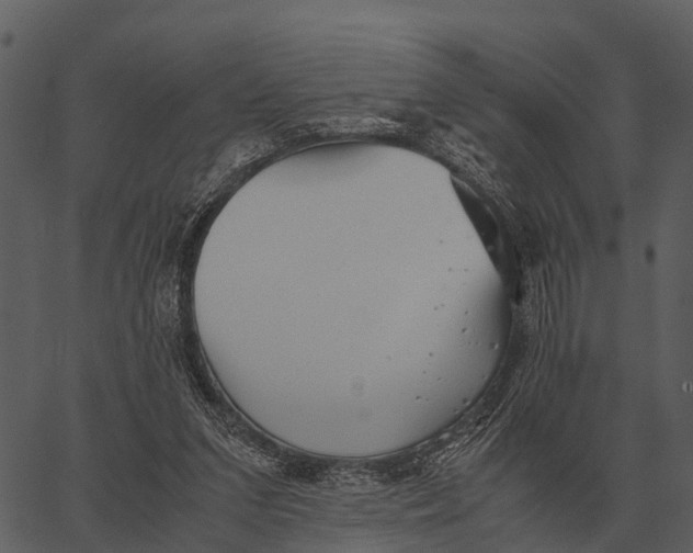 X0000062650207200601111200