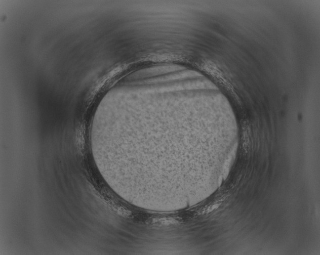 X0000062650208200601111200