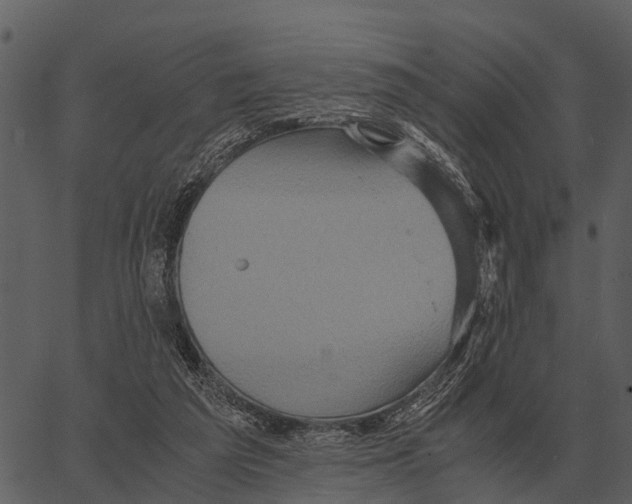 X0000062650209200601111200