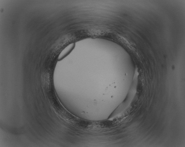 X0000062650211200601111200