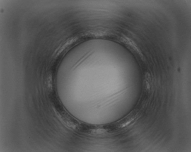 X0000062650212200601111200