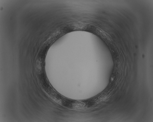 X0000062650215200601111200