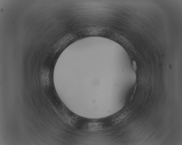 X0000062650216200601111200