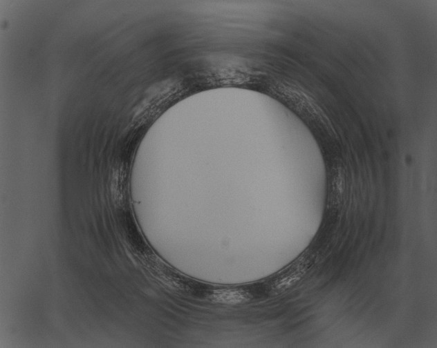 X0000062650218200601111200