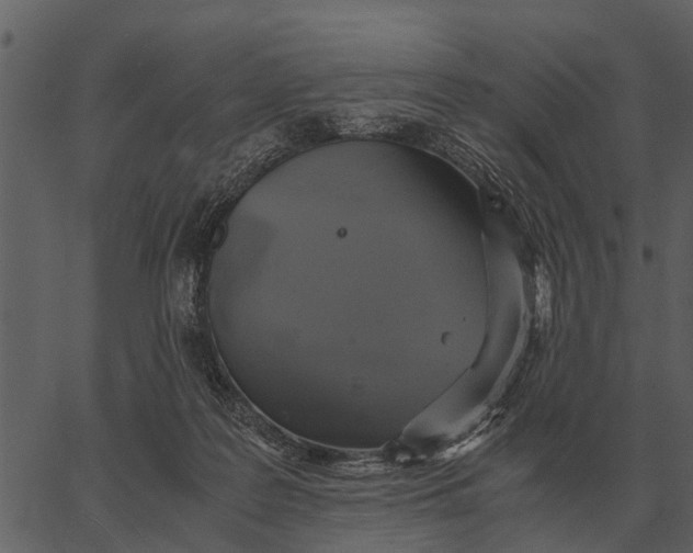 X0000062650219200601111200