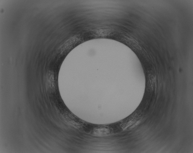 X0000062650220200601111200